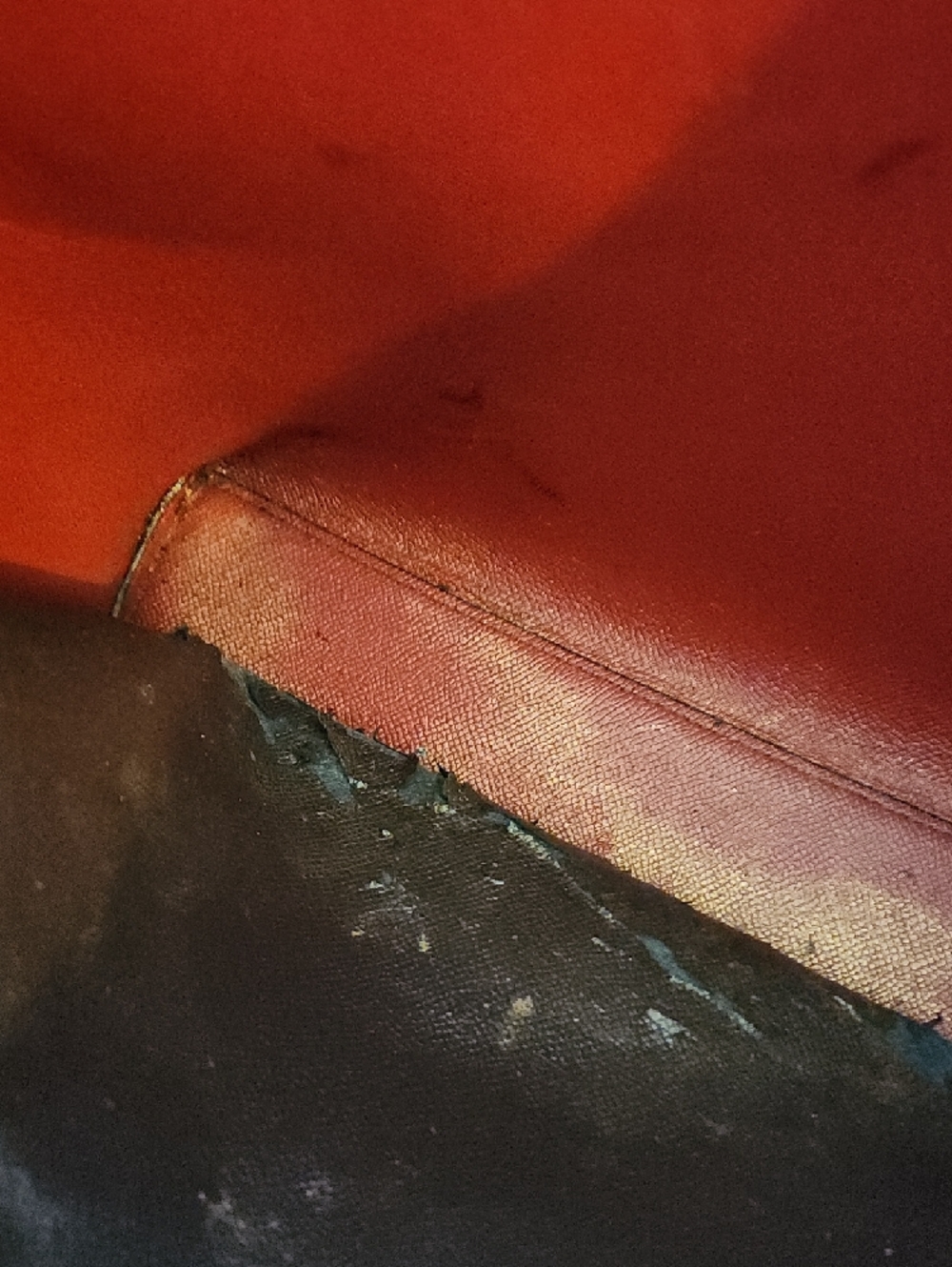 Coach Mollie Tote. PROJECT BAG. - Picture 14 of 15